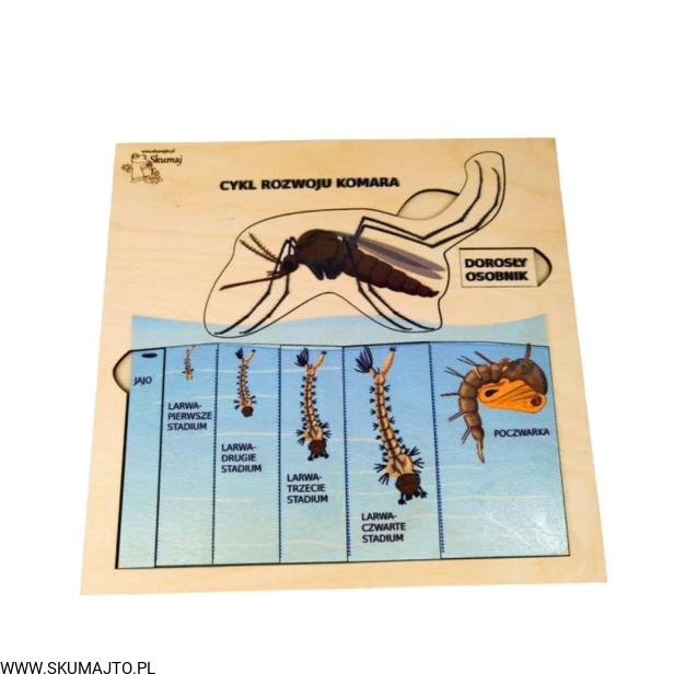 Projekt bez tytułu - 2022-04-03T213914.707.jpg