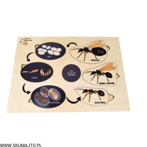 Projekt bez tytułu - 2022-04-03T212826.182.jpg