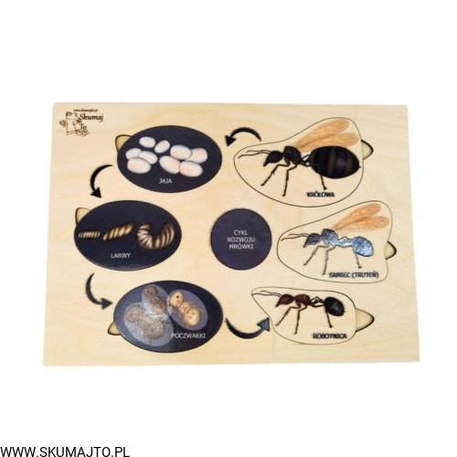 Projekt bez tytułu - 2022-04-03T212756.887.jpg