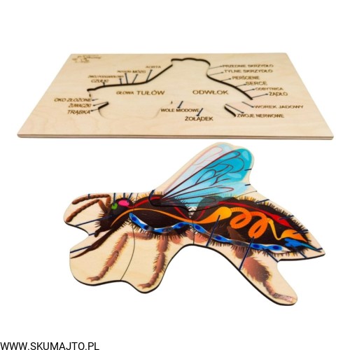 Projekt bez tytułu - 2022-04-03T215410.507.jpg