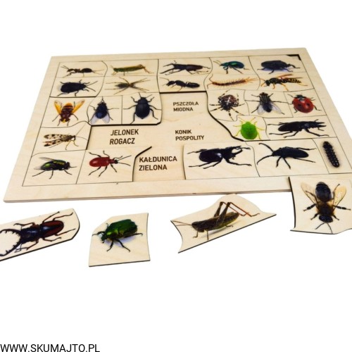 Projekt bez tytułu - 2022-04-03T220419.142.jpg