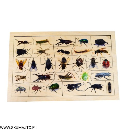 Projekt bez tytułu - 2022-04-03T220344.680.jpg