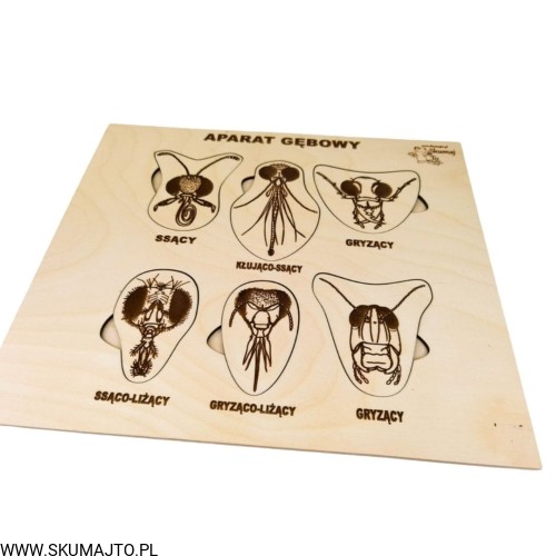 Projekt bez tytułu - 2022-04-03T221314.278.jpg