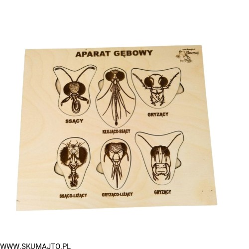 Projekt bez tytułu - 2022-04-03T221247.985.jpg