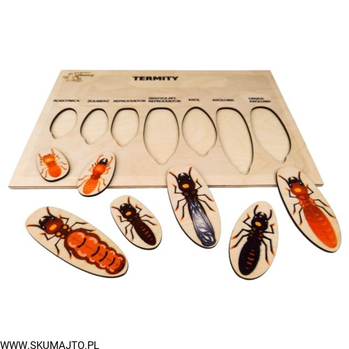 Projekt bez tytułu - 2022-04-03T222648.008.jpg