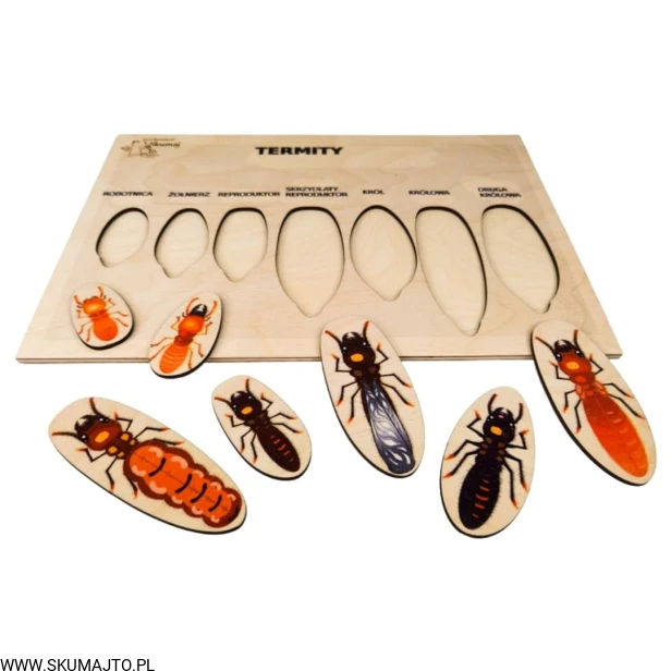 Projekt bez tytułu - 2022-04-03T222648.008.jpg