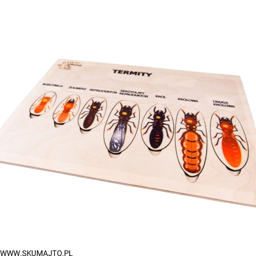 Projekt bez tytułu - 2022-04-03T222619.931.jpg