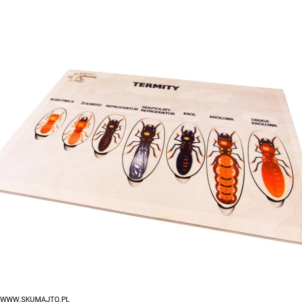 Projekt bez tytułu - 2022-04-03T222619.931.jpg