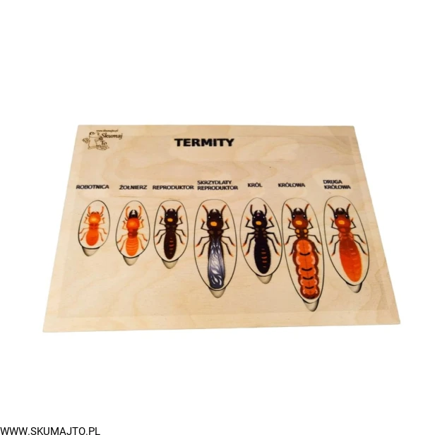 Projekt bez tytułu - 2022-04-03T222556.847.jpg