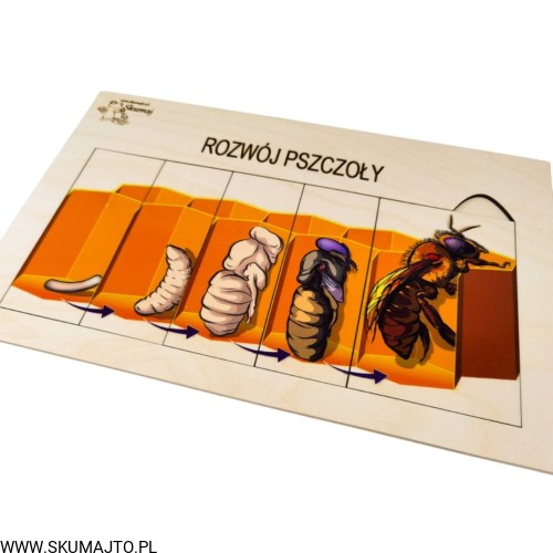 Projekt bez tytułu - 2022-04-03T224356.261.jpg