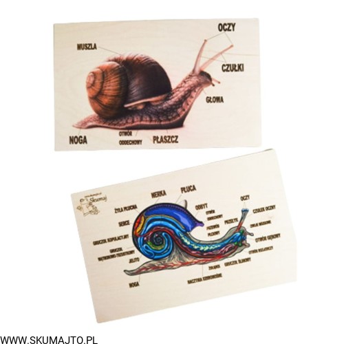 Projekt bez tytułu - 2022-04-26T133844.469.jpg