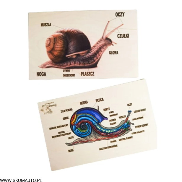 Projekt bez tytułu - 2022-04-26T133844.469.jpg