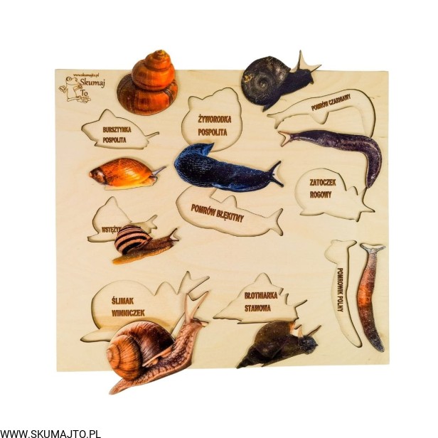 Projekt bez tytułu - 2022-04-27T152221.977.jpg