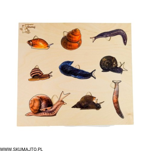 Projekt bez tytułu - 2022-04-27T152139.391.jpg