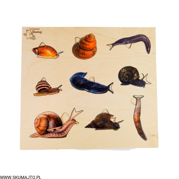 Projekt bez tytułu - 2022-04-27T152139.391.jpg