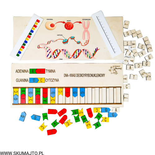 Projekt bez tytułu (53).png