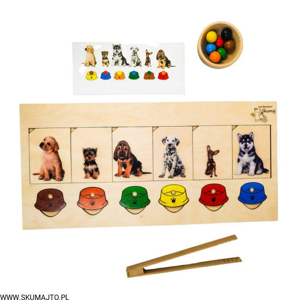 Projekt bez tytułu (61).png