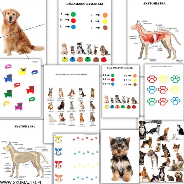 Projekt bez tytułu - 2022-06-30T100010.615.jpg