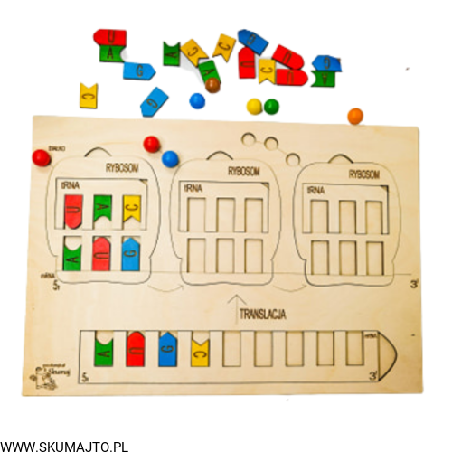 Projekt bez tytułu (65).png