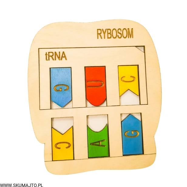 Projekt bez tytułu (64).png