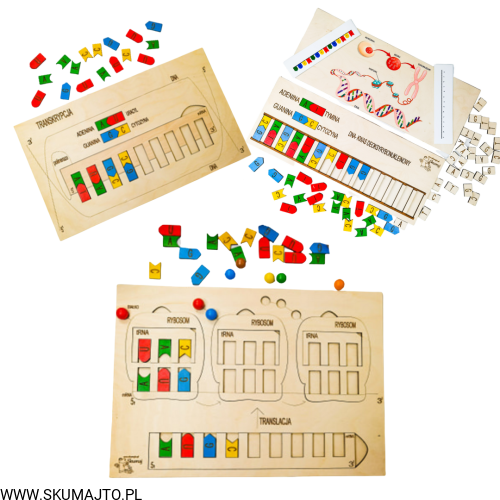 Projekt bez tytułu (68).png