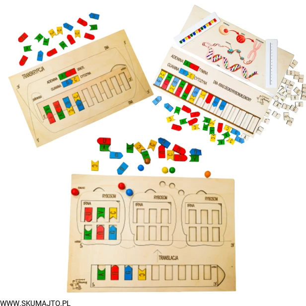 Projekt bez tytułu (68).png