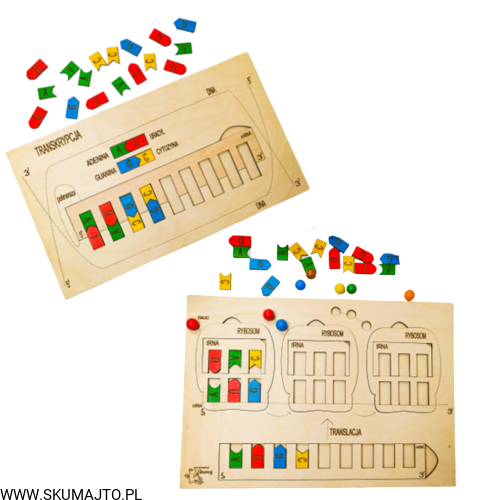 Projekt bez tytułu (67).png