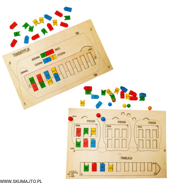 Projekt bez tytułu (67).png