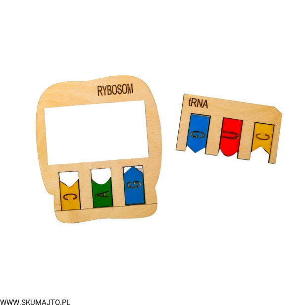 Projekt bez tytułu (66).png