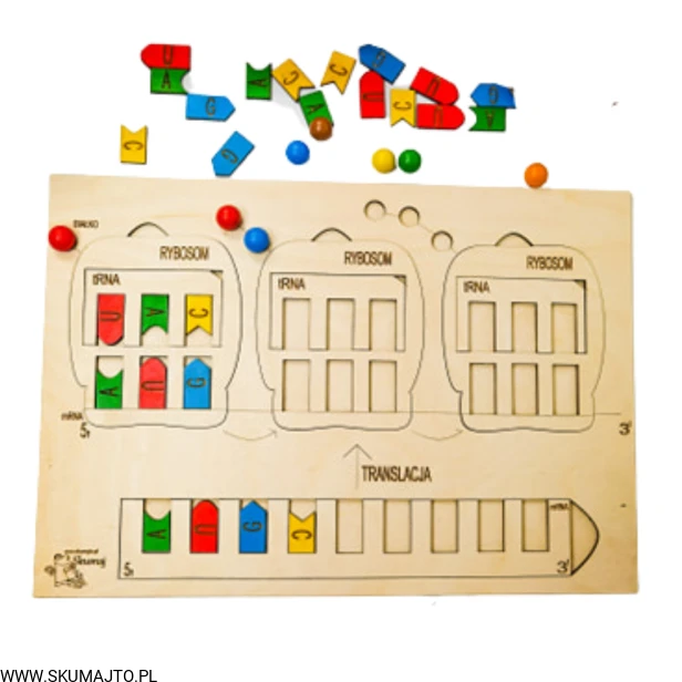 Projekt bez tytułu (65).png