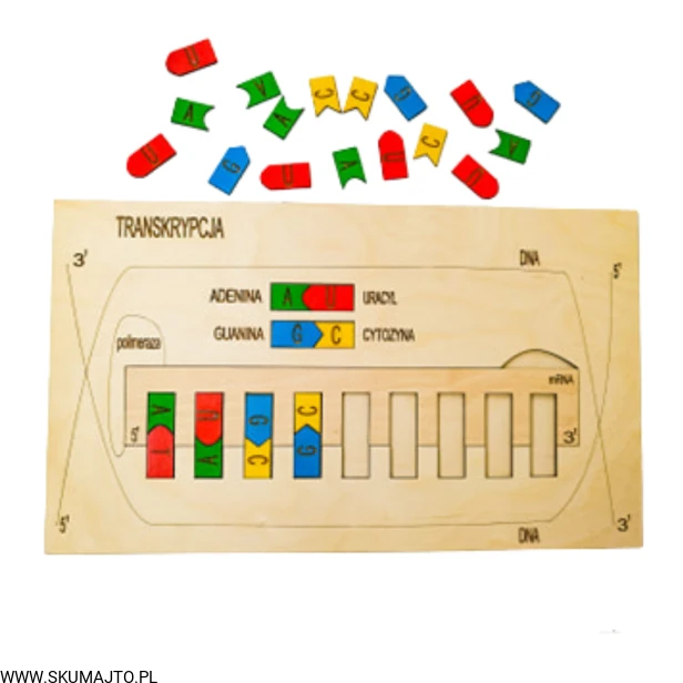 Projekt bez tytułu (63).png