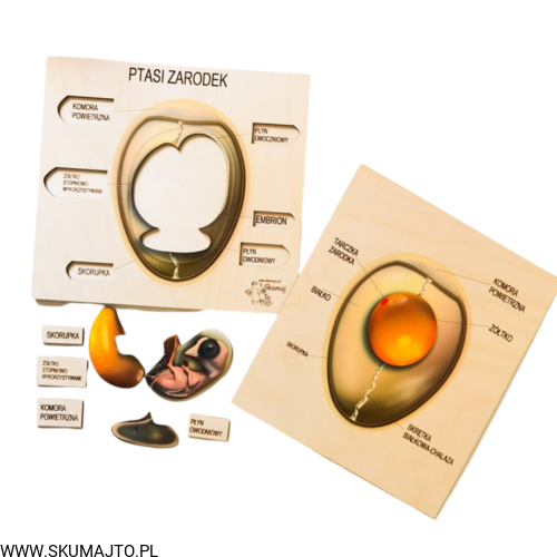 Projekt bez tytułu (80).png