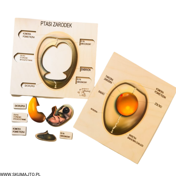 Projekt bez tytułu (80).png