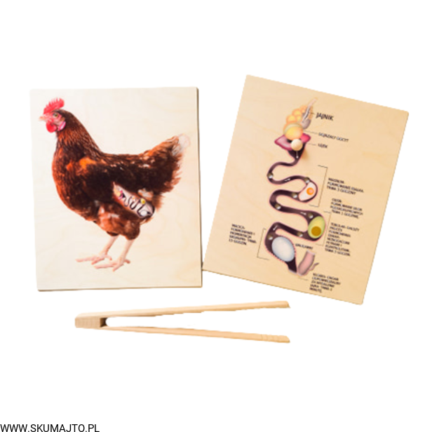 Projekt bez tytułu (93).png