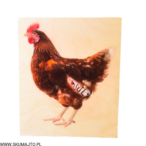 Projekt bez tytułu (90).png