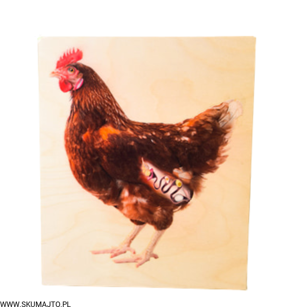 Projekt bez tytułu (90).png