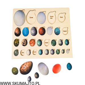 Projekt bez tytułu (100).png