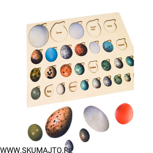 Projekt bez tytułu - 2022-08-25T123514.765.png