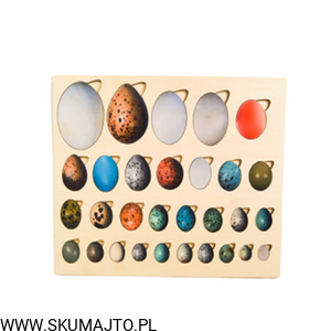 Projekt bez tytułu - 2022-08-25T123430.838.png