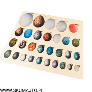 Projekt bez tytułu - 2022-08-25T123353.236.png