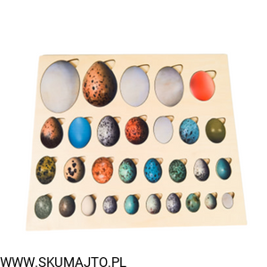 Projekt bez tytułu - 2022-08-25T122731.751.png