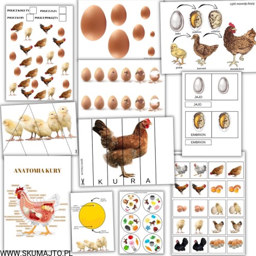 Projekt bez tytułu - 2022-08-27T132711.122.jpg