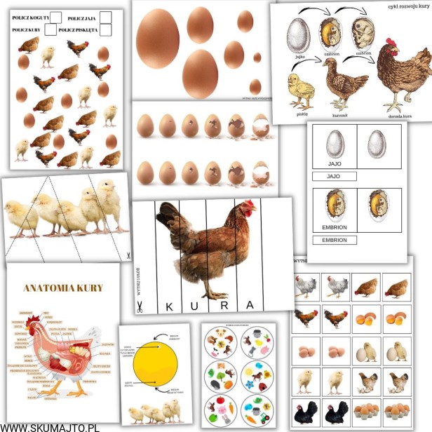 Projekt bez tytułu - 2022-08-27T132711.122.jpg