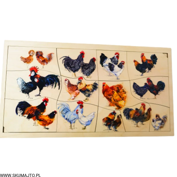 Projekt bez tytułu - 2022-08-29T124054.808.png