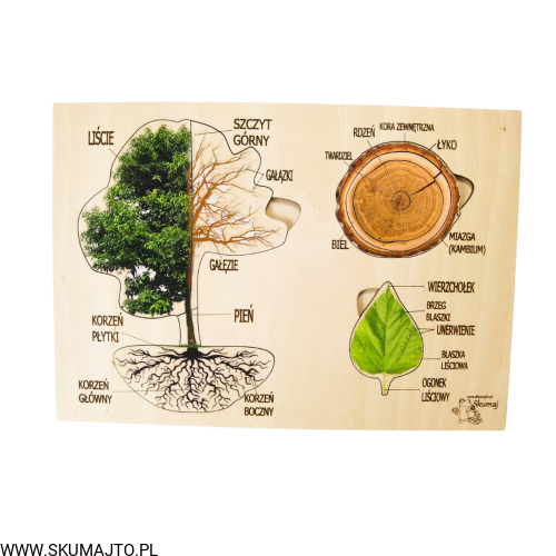 Projekt bez tytułu - 2022-09-12T132622.973.png