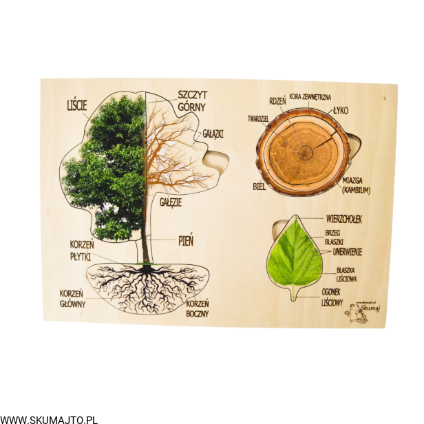 Projekt bez tytułu - 2022-09-12T132622.973.png