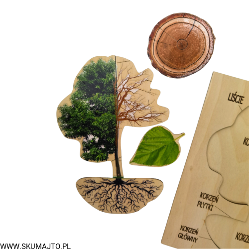 Projekt bez tytułu - 2022-09-12T134132.017.png