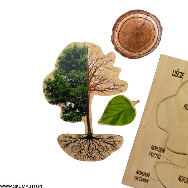 Projekt bez tytułu - 2022-09-12T134132.017.png