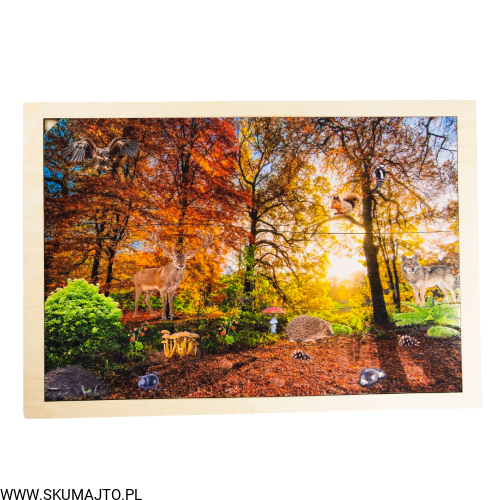 Projekt bez tytułu - 2022-09-12T134009.907.png