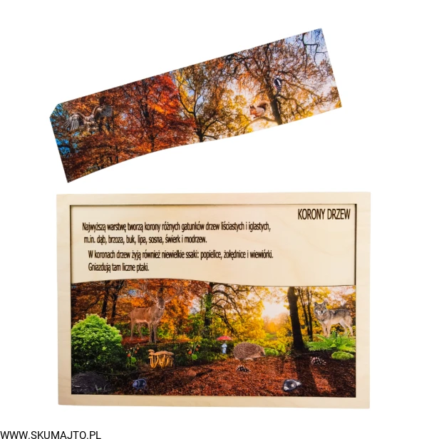 Projekt bez tytułu - 2022-09-12T135639.083.png